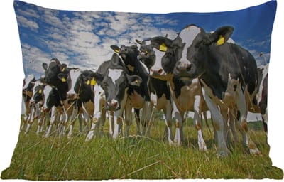 Buitenkussens - Tuin - Koeien - Gras - Weiland - Dieren - 50x30 cm