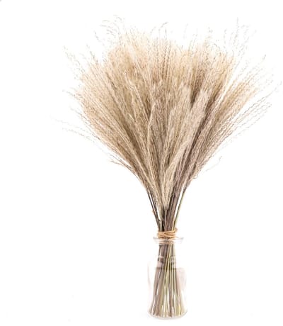 Unyqoos® Set van 50 stuks gedroogd decoratief gras voor stijlvolle woondecoratie