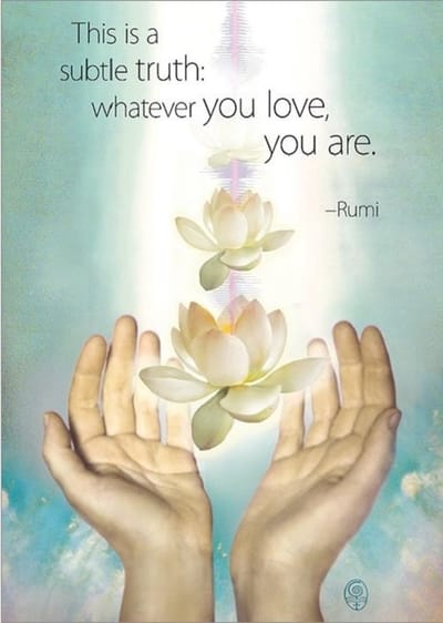 Amber Lotus - Rumi - wenskaart -This is a subtle truth whatever you love, you are - 3 stuks