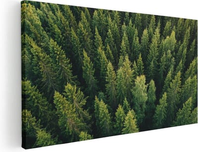 Artaza Canvas Schilderij Bos - 40x20 cm - Klein - Wanddecoratie Natuur - Muurdecoratie Bomen - Schilderijen Op Canvas Landschap