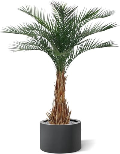 Phoenix kunstpalm deluxe 180cm