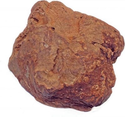 Olijfboom kauwwortel- 500-750 gram- L-hondensnacks-Animal King