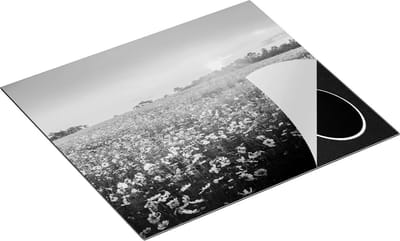 Chefcare Inductie Beschermer Bloemenveld met Roze Kosmos - Zwart Wit - 60x50 cm - Afdekplaat Inductie - Kookplaat Beschermer - Inductie Mat