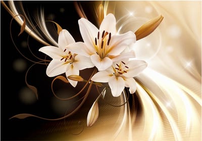 Fotobehangkoning - Behang - Vliesbehang - Fotobehang Bloemen Luxe - Circle of Light - 300 x 210 cm