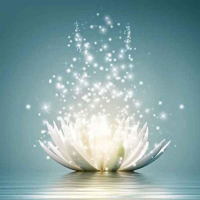 Peinture diamant Lotus blanc, broderie à faire soi-même, mosaïque ronde, décoration de maison, cadeau 30X30CM gray