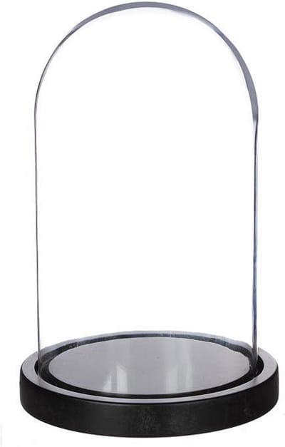 Ideas 4 Seasons Decoratie stolp - glas - houten zwart plateau - D14 x H21 cm