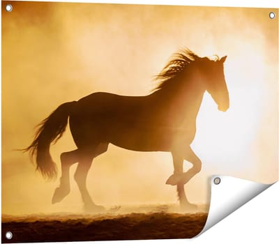 Gards Tuinposter Silhouet van een Paard - 80x60 cm - Tuindoek - Tuindecoratie - Wanddecoratie buiten - Tuinschilderij