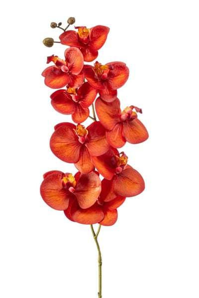 Emerald - Kunstbloem Phalaenopsis RT 95cm oranje/rood - Kunstplant voor binnen