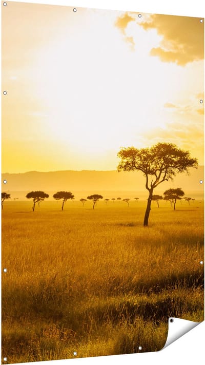 Gards Tuinposter Zonsondergang in de Savanne - 120x180 cm - Tuindoek - Tuindecoratie - Wanddecoratie buiten - Tuinschilderij