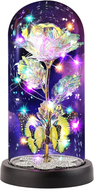 Ewige Roos in Glazen Kooi met LED verlichting - Perfect Geschenk voor Moeders, Vriendinnen, en Verjaardagen