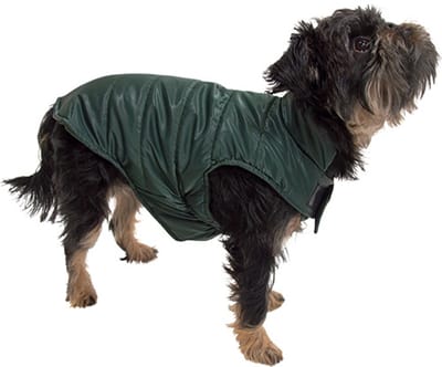 Jack and Vanilla Dogwalk Hondenjas Puffer - Warm en Wasbaar - Kleur: Groen - Maat XS - Ruglengte: 25 cm