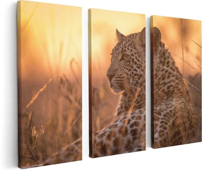 Artaza Canvas Schilderij Drieluik Luipaard Rust In De Zon - 120x80 - Foto Op Canvas - Canvas Print