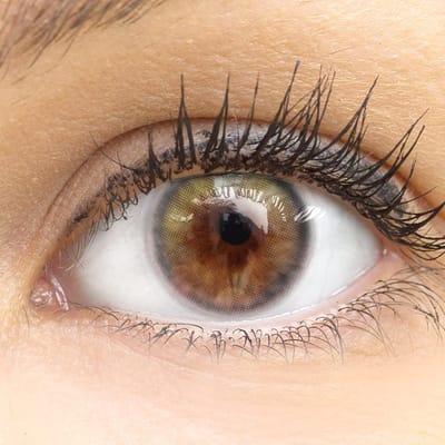 Dailygoods- Gekleurde Contactlenzen Volledig Dekkend - Bianco Groene Lenzenset - Silicone Hydrogel - 0.00 Dioptrieën - 3 Maanden Gebruik - Natuurlijke Dekking - Kleurcontactlenzen