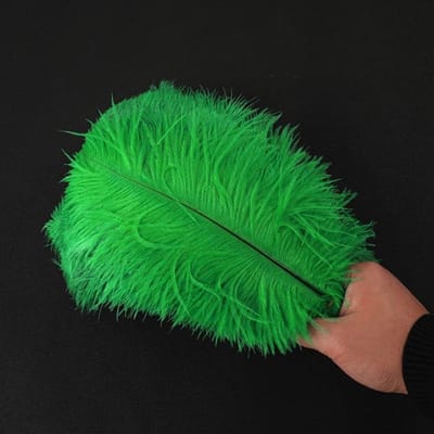 Dailygoods- Struisvogelveren 10 Stuks 35-40 cm - Natuurlijke Knutselveren - Doe-Het-Zelf Dromenvangeraccessoires - Woondecoratie - Kostuums - Tafeldecoratie - Decoratieve Veren