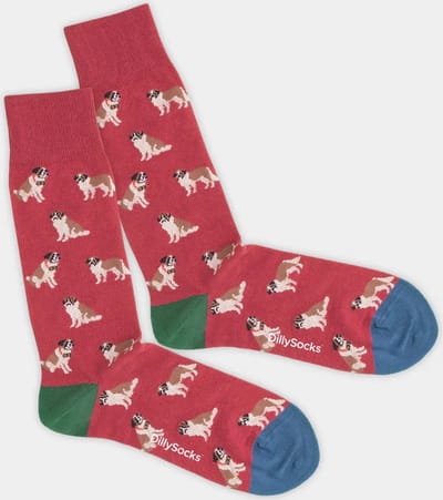 DillySocks Rasp Barry Sock - maat 36-40