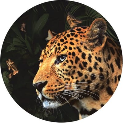Muurcirkel Panter sticker 60 cm - behangcirkel - woonkamer muur decoratie accessoires