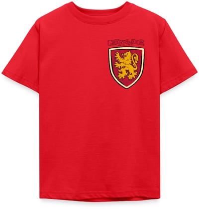 Harry Potter Gryffindor Quidditch Potter T-Shirt Kinderen