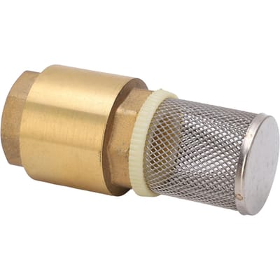 Terugslagklep Messing G1 Enkelvoudig Goede Afdichting 99mm Lengte met Filter Accessoire voor Water Olie