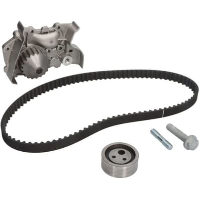 Schaeffler Ina Waterpomp+distributieriem set INA 530 0191 30