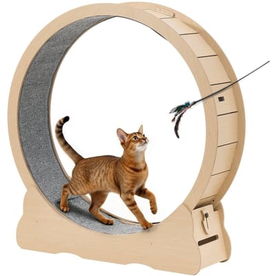 Kattenrenwiel, 120cm Houten Kattenloopwiel voor Binnenkatten tot 12,7kg Kattenloopband met Tapijtbaan & Vergrendelingsmechanisme, Stille Rol