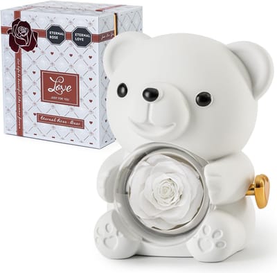 Romantische teddybeer met geconserveerde roos en hartvormige halsketting - Perfect cadeau voor Valentijnsdag, Moederdag en bruiloften