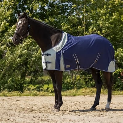 Paardenvliegendeken QHP