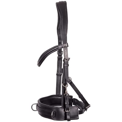 Harry's Horse - Kaptoom hoofdstel - Leder Comfort - Zwart - Maat Cob