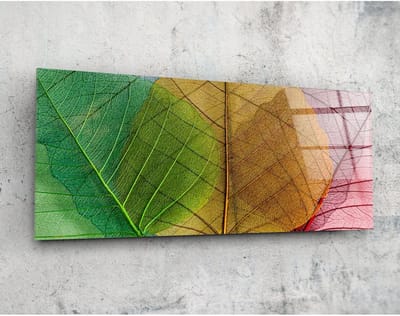 Panorama Glasschilderij - Blad - Kleurrijke wanddecoratie - 92 x 36 cm