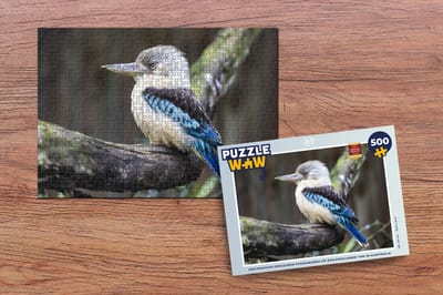 Puzzel Een prachtig gekleurde kookaburra op een krullende tak in Australië - Legpuzzel - Puzzel 500 stukjes