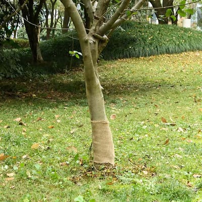 vidaXL - Jute - rol - 200 - g/m² - 0,25x15 - m - 100% - jute