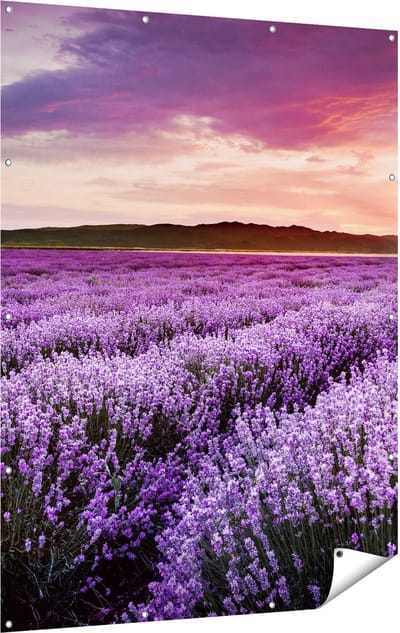 Gards Tuinposter Bloemenveld met Paarse Lavendel - Bloemen - 120x160 cm - Tuindoek - Tuindecoratie - Wanddecoratie buiten - Tuinschilderij