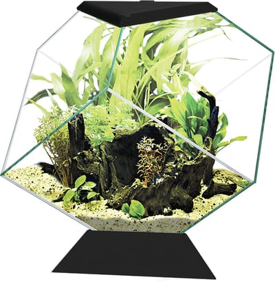 Ciano AQUARIUM NEXUS 14C 35,4x41,8x36,8cm zwart