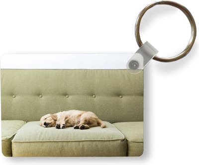 Sleutelhanger - Slapende puppy op de bank - Uitdeelcadeautjes - Plastic