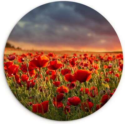 WallCircle - Wandcirkel 90x90 - Zonsondergang - Klaprozen - Rood - Bloemen - Veld - Natuur - Ronde schilderijen woonkamer - Wandbord rond - Muurdecoratie cirkel - Kamer decoratie binnen - Wanddecoratie muurcirkel - Woonaccessoires