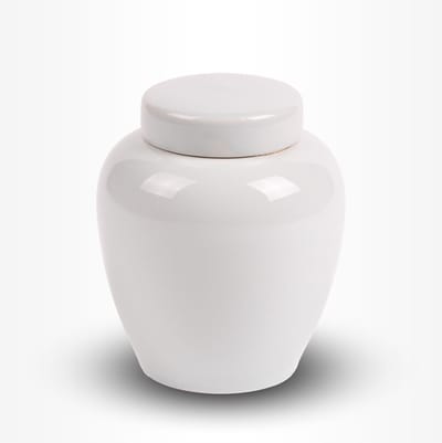 Dieren Urn Hond Kat Middel 750 ml Wit Neutraal - Dieren Urn voor As Crematie - Urn Hond - Urn Kat