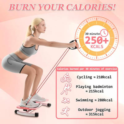 Twist Disc Board - Taille Trainer - Lichaam Vormgeven - Met Weerstandsbanden - 120 kg Capaciteit - Roze