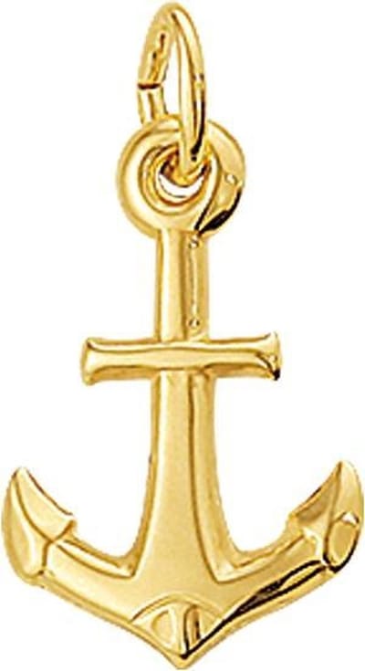 The Jewelry Collection For Men Hanger Anker - Goud