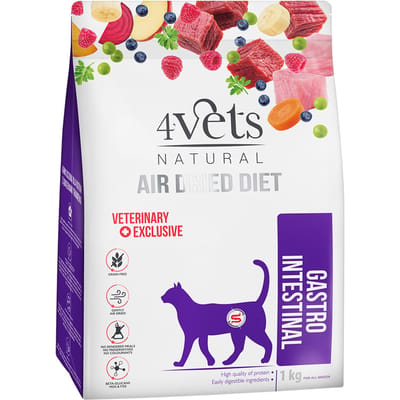 1kg 4vets gastro intestinal droogvoer voor katten