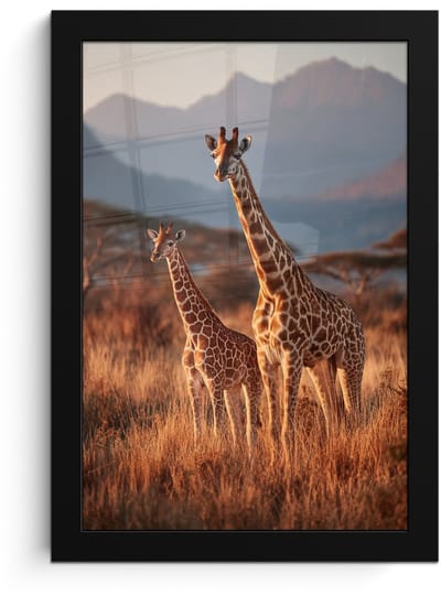 Poster in lijst - Fotolijst 20x30 cm - Posters - Giraffen - Hoog gras - Acaciabomen - Posterlijst zwart - Decoratie - Wanddecoratie woonkamer - Muurdecoratie slaapkamer