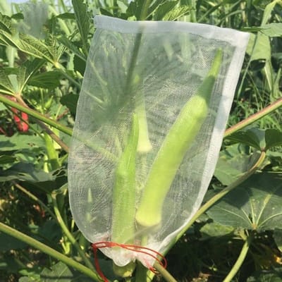 50 Stuks Groenten en Fruit Beschermingsnetten met Trekkoord - Tuin- en Plantbescherming