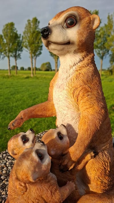 Stokstaartje Familie met 3 Jongen beeld - Polystone Dierenbeeld - 39 cm hoog - Bruin - Decoratie voor Binnen en Buiten