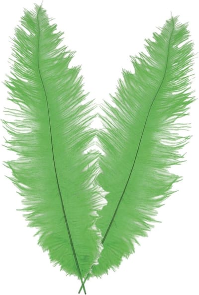 Grote struisvogelveer/pietenveer - 2x - groen - 40 cm - Charleston/jaren 20/twenties thema verkleed accessoire