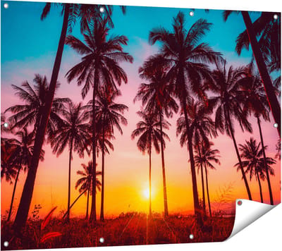 Gards Tuinposter Palmbomen op het Strand bij Zonsondergang - 120x90 cm - Tuindoek - Tuindecoratie - Wanddecoratie buiten - Tuinschilderij
