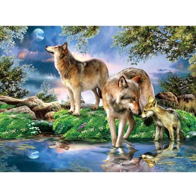 5D Diamant Schilderij Dieren Foto Kralen Kristal Schilderij Volledige Ronde Diamant Borduurwerk Dier Wolf 20X30CM gray