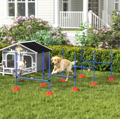 MEUNIQ honden agility-set met 4 verstelbare horden en draagtas, kunststof trainingsset met vulbare voetstukken en hoogteschaal, 124 x 19,5 x 103 cm, blauw