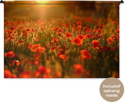 Wandkleed Klaproos - Oranje gloed over de Klaprozen in het veld Wandkleed katoen 120x80 cm - Wandtapijt met foto