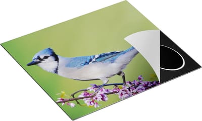 Chefcare Inductie Beschermer Blauwe Gaai Vogel op een Tak - Kleur - 60x50 cm - Afdekplaat Inductie - Kookplaat Beschermer - Inductie Mat