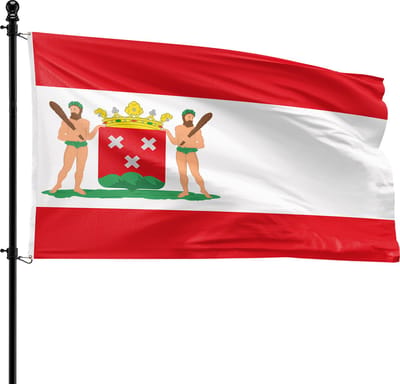VlagDirect - Bergen op Zoom vlag - Gemeente Bergen op Zoom vlag - 90 x 150 cm.