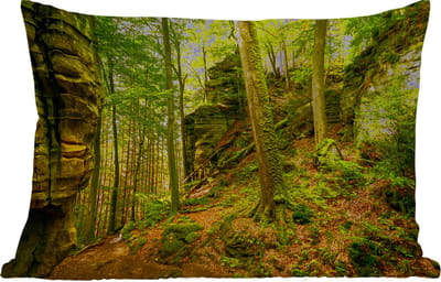 Buitenkussens - Tuin - Bomen - Steen - Bos - Natuur - Planten - 50x30 cm