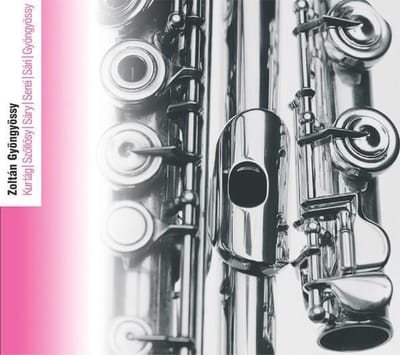 Zoltán Gyöngyössy & Budapest Chamber Orhestra - Kurtág | Szõllõsy | Sáry | Serei | Sári | Gyöngyössy (CD)